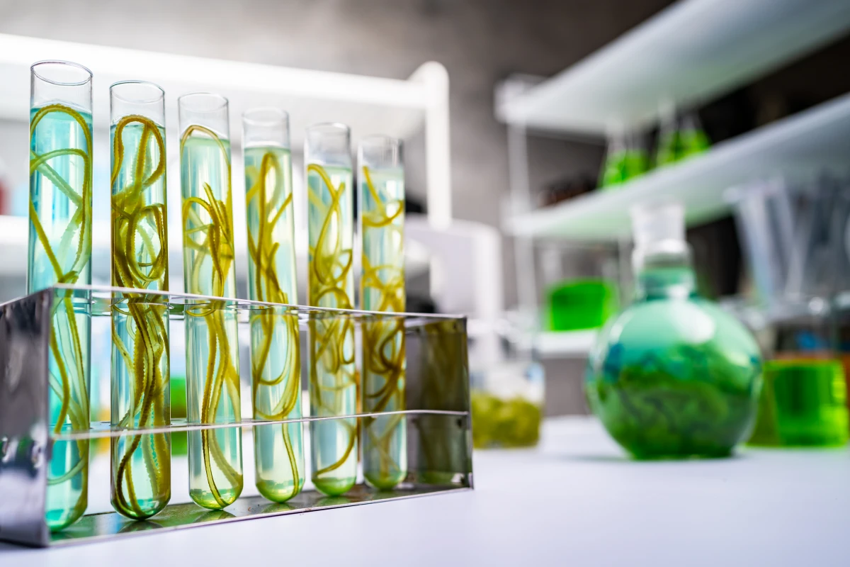 Biotechnologie et Start-ups : Naviguer dans le Labyrinthe Juridique