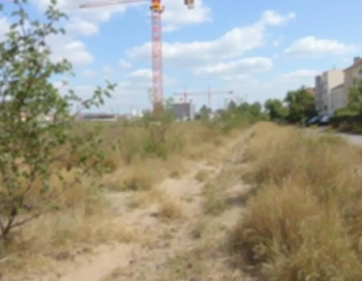 Construire en 2025 : Navigateurs des Lois de l'Urbanisme